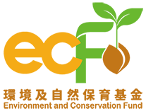 ECF logo